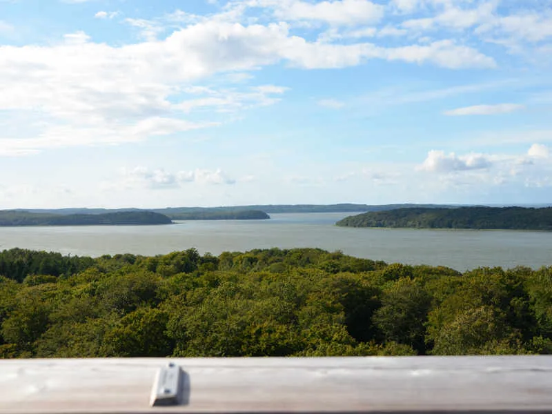 Ausblick vom Baumwipfelpfad in Prora vom Adlerhorst.