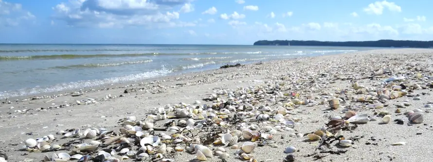Seebad Prora Strand